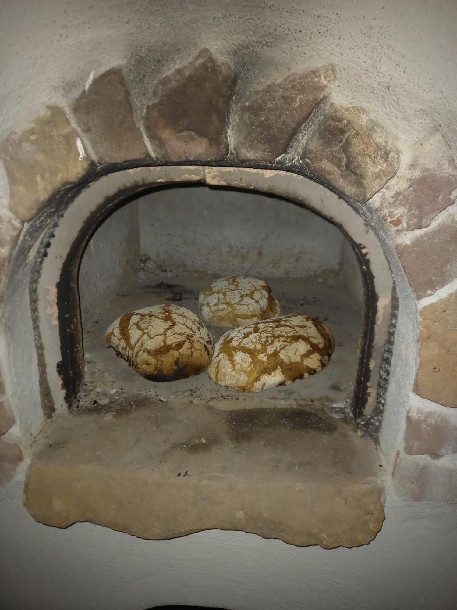 Apartmán Wickys Igelnest Malsch  Exteriér fotografie